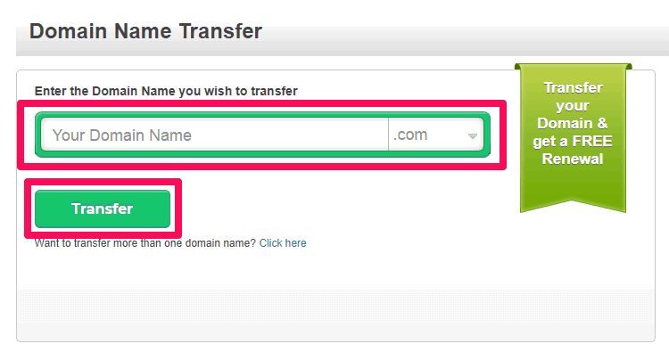 Domain Name Transfer