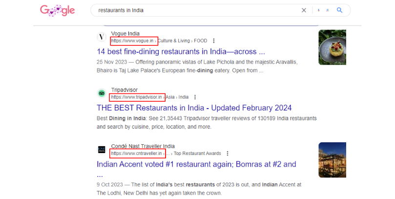 an example of websites with the .in extension at the top of the search results